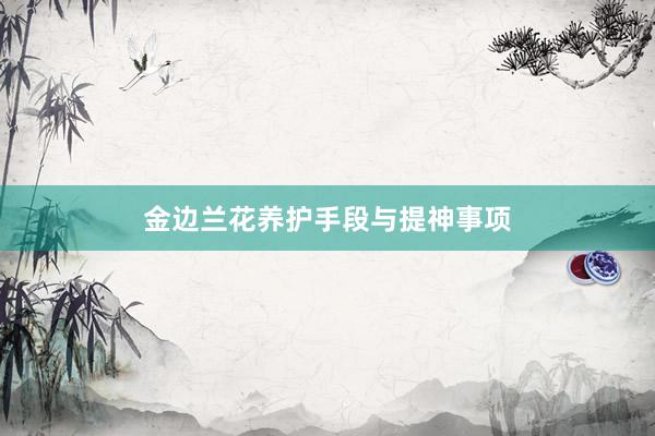 金边兰花养护手段与提神事项