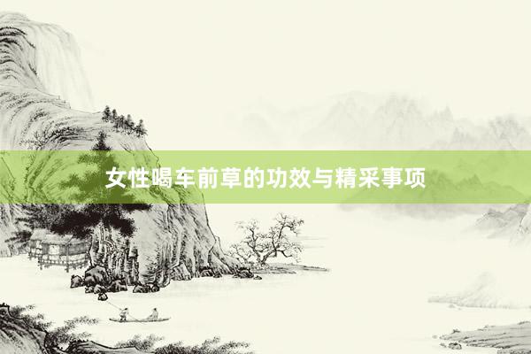 女性喝车前草的功效与精采事项